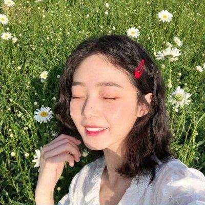 秦美人破解版下载